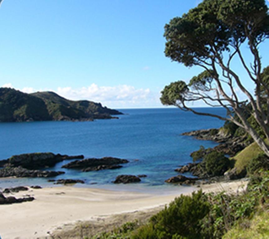 Carneval Ocean View Bed and Breakfast Taipa Eksteriør billede